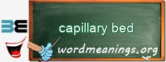 WordMeaning blackboard for capillary bed